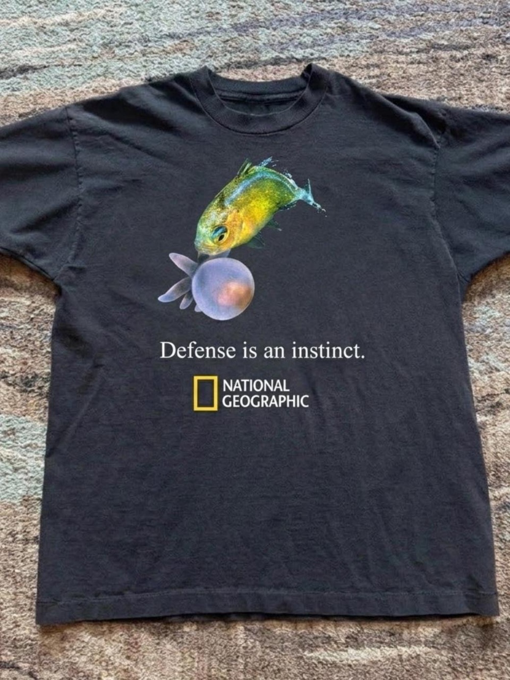 Gildan Black National Geographic Fish Bubble Graphic Tee